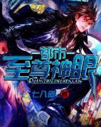 都市至尊神眼续集