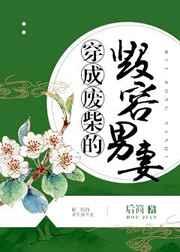 穿成废柴的毁容男妻(后简)
