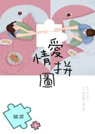 爱情拼图 电视剧