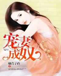 宠妻成狂