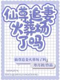 仙尊追妻火葬场了吗txt