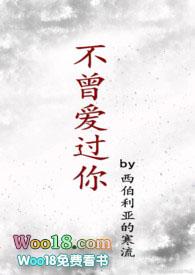 不曾爱过你歌词