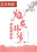 穿成反派的炮灰外室番外完结