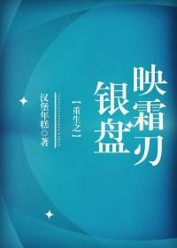 重生之银盘映霜刃攻受