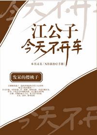 江公子今天不开车骑鲸南去是双洁吗