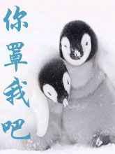 你罩我吧by