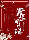 掌上明月珠作者眠风枕月