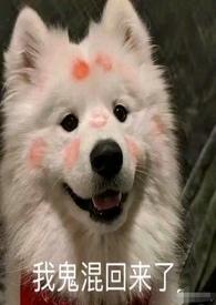 就范中的范字的意思是什么