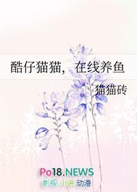 酷酷猫软件