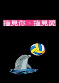 撞见你的心好看吗