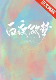 白夜做梦小披萨讲的什么