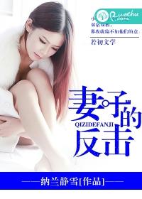 妻子的反击电视连续剧剧情