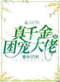 真千金是团宠大佬林诺诺