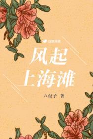 风起上海滩八溟子免费阅读
