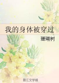 我的身体被穿过宝书网