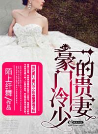 豪门冷少的贵妻免费阅读