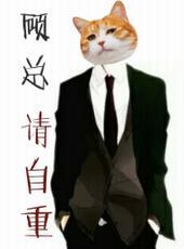 顾总请自重清简txt