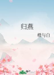 燕归讲的什么