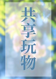 共享玩物(n)