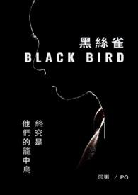 黑金丝雀黑人