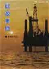 能源集团总经理