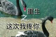重生之这次我疼你百度