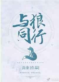 与狼同行书籍