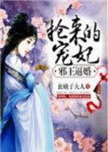 邪王宠妻抢来的王妃