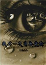我不一定非要爱你什么意思