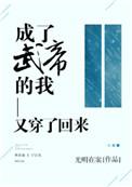 成了武帝的我又穿了回来 光明在案