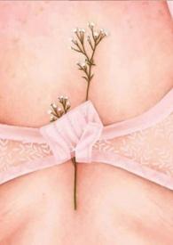 多么甜美的声音啊!用英语怎么说