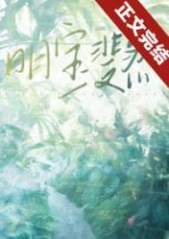 明宝斐然txt