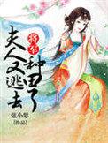将军夫人又出逃