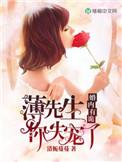 婚谋诡计薄先生乖乖投降