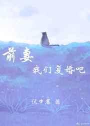 前妻我们复婚吧江潭映月