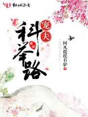 宠夫科举路txt
