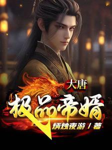 大唐极品帝婿txt