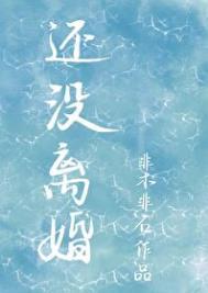 还没离婚 非木非石