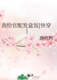 我给官配发盒饭(快穿)