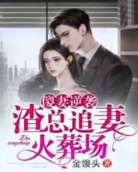 渣总追妻火葬场什么时候结局