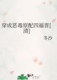 穿成恶毒原配四福晋清冬沙