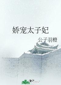 太子妃娇宠录