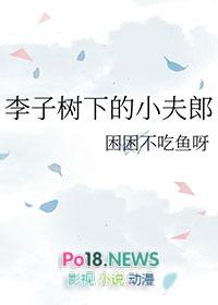 李子树下的小夫郎全文免费阅读