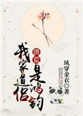 我家道侣是鸿钧洪荒