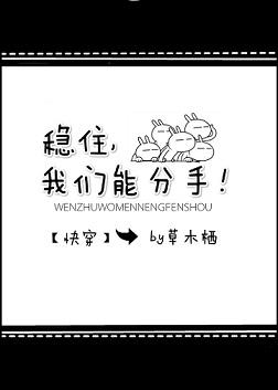 我们能分手txt
