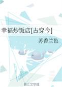幸福炒饭店[古穿今