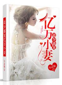 萧少的萌宝甜妻