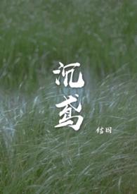 沉鸢讲的什么故事