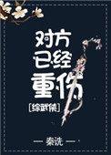 对方已重伤综武侠书包