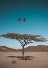 龙墓2